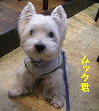 yomotsuku080209-11.JPG