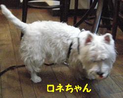 yomotsuku071221-4.JPG