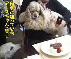 yomotsuku080126-10.JPG