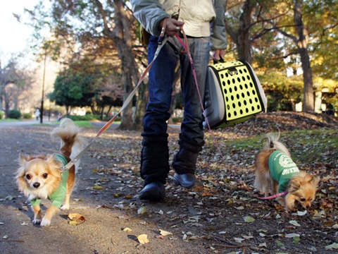 yomotsuku20111126-9.JPG