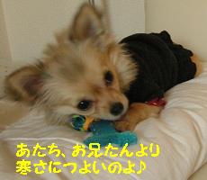 yomotsuku080130-2.JPG