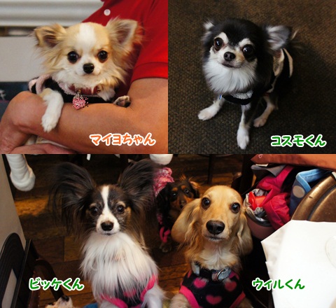 yomotsuku20120128-18.jpg