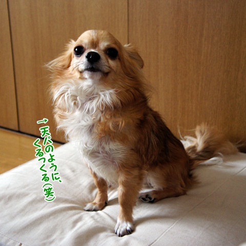 yomotsuku20120115-7.JPG