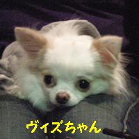 yomotsuku071123-2.JPG