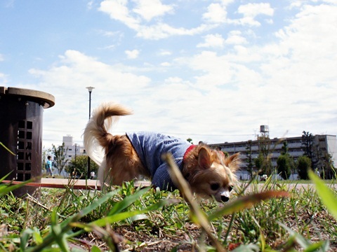 yomotsuku20111001-7.JPG