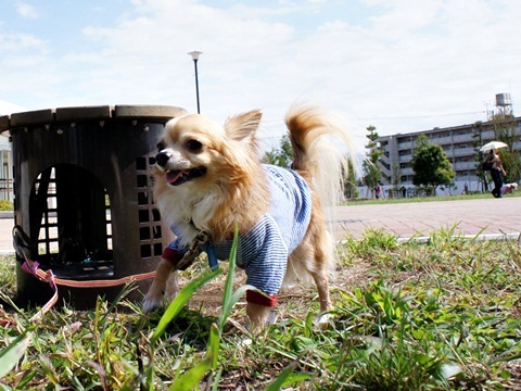 yomotsuku20111001-8.JPG