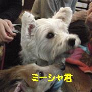 yomotsuku080105-10.JPG