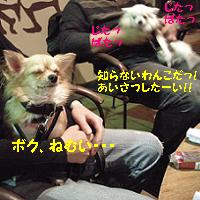 yomotsuku071123-7.JPG