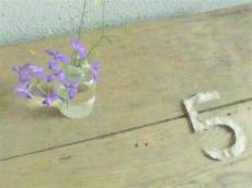 ゴールデンウイークの奈良