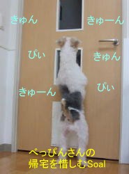 べっぴんさんが来た４
