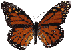 butterfly2.gif