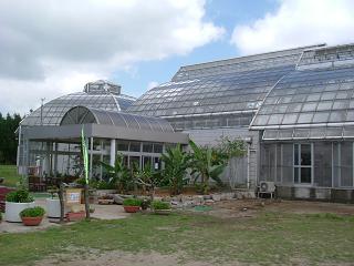 熱帯観賞温室