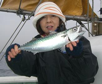 20080129真鯖48Cm-2