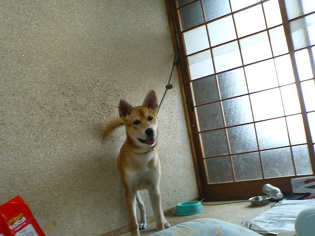 P1000003.JPG
