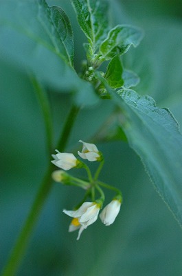 DSC_9089.jpg