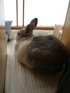 やっぱり！ボックス～