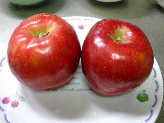 アップルパイ 002.jpg