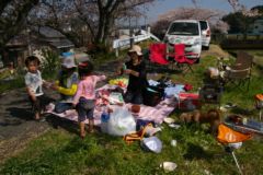 お花見バーベキュー2