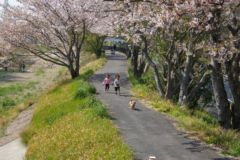 お花見バーベキュー３