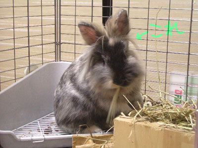 IMGP0731-2.jpg