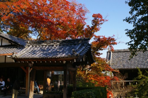 吉峯寺山門.jpg