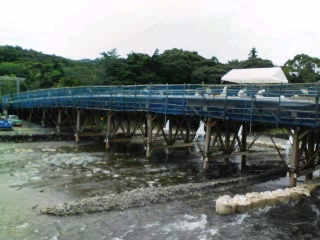 宇治橋　１