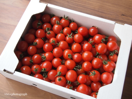 しあわせ畑　ミニトマト