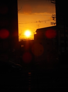 コピー ～ DSCN0494.JPG