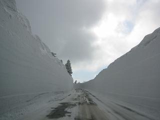 八甲田雪の回廊