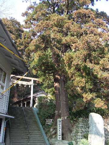 猪野神社と梅 010.JPG