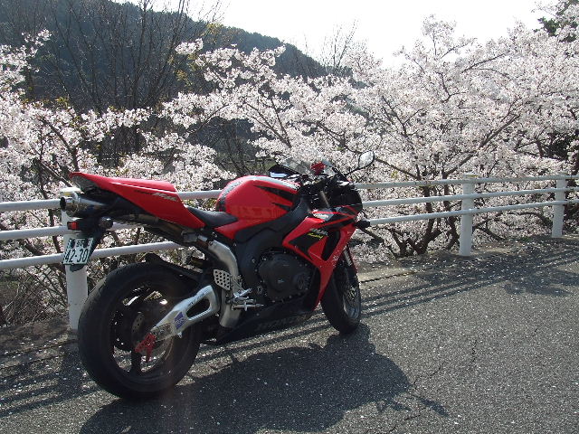 笹栗と愛宕神社 006.JPG