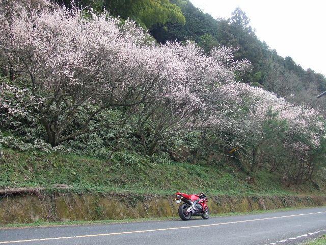 猫峠と洗車 013.JPG