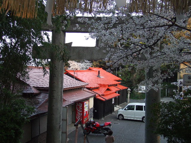 笹栗と愛宕神社 019.JPG