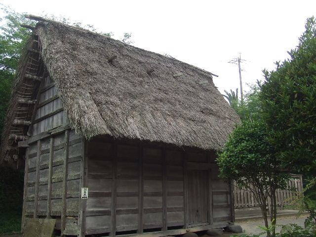 宮地嶽神社菖蒲園祭り 031.JPG