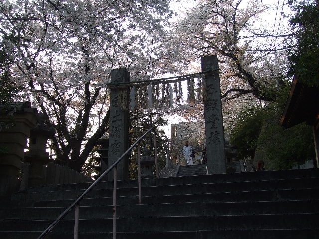 笹栗と愛宕神社 018.JPG