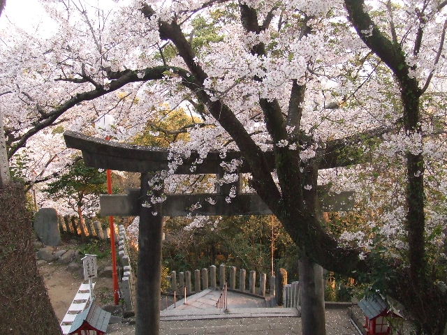 笹栗と愛宕神社 023.JPG