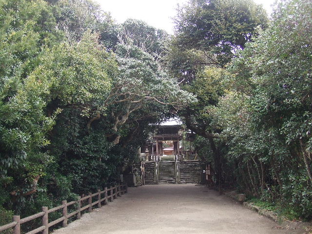 志賀海神社と金印ドッグと日課 013.JPG