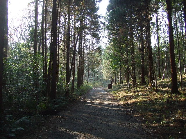 鳩吹山登山 019.JPG