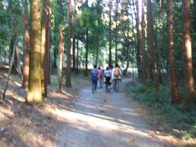 鳩吹山登山 021.JPG