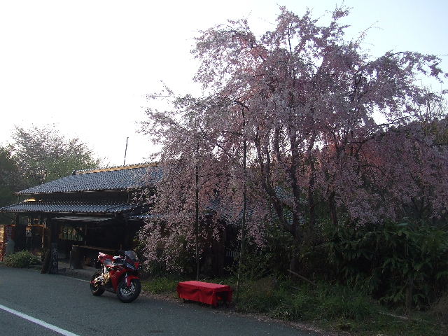 ご来光と湯布院温泉 073.JPG