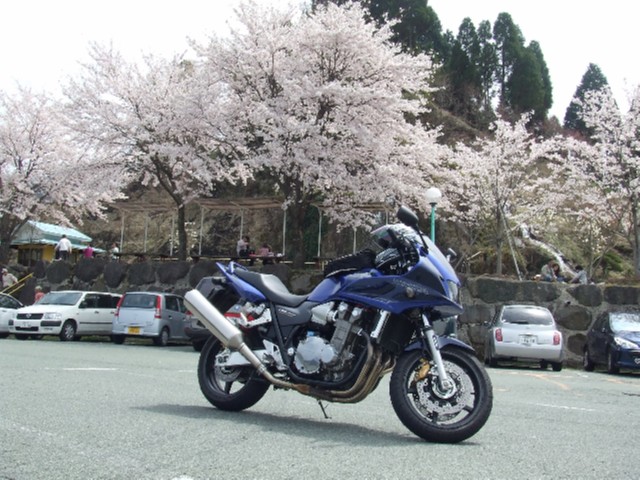 阿蘇と大桜 023.JPG