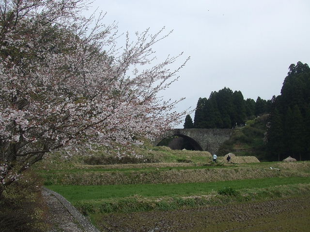 阿蘇、桜めぐり 063.JPG