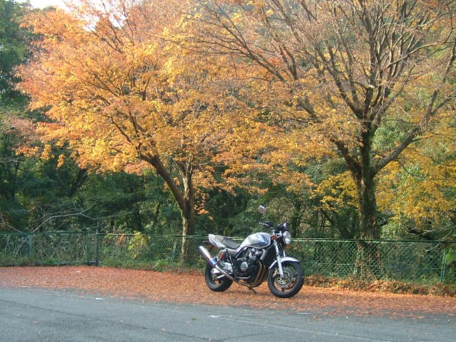 2005_1127菊池渓谷0034.JPG