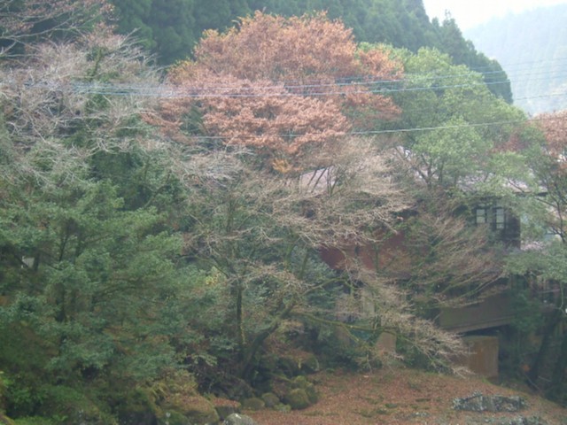 2005_1127菊池渓谷0008.JPG