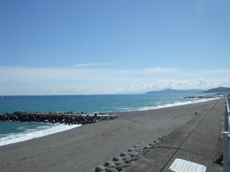 桂浜海岸２.jpg