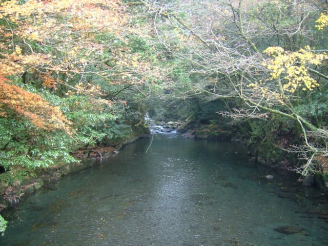 2005_1127菊池渓谷0029.JPG