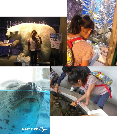 男鹿水族館.jpg