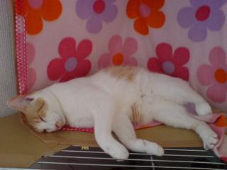 20080616144405.jpg