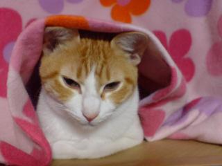 20080308013843.jpg