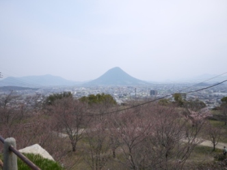 P1000719 天守閣から見た飯山.jpg